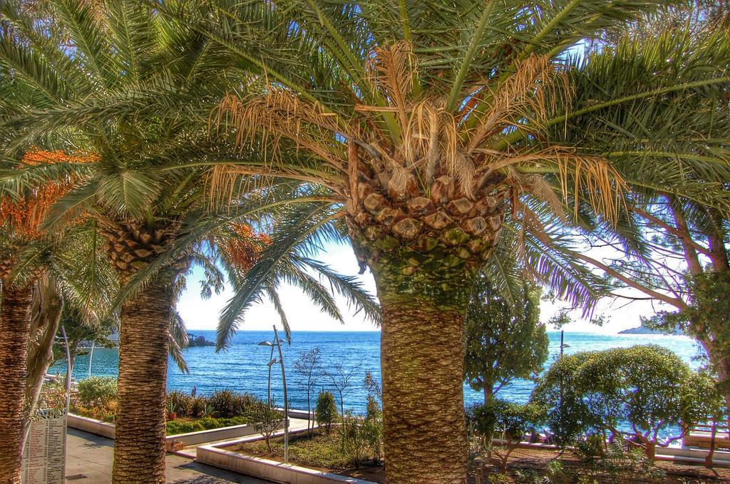 Vasiliki Seaside Apartments Petrovac Zewnętrze zdjęcie